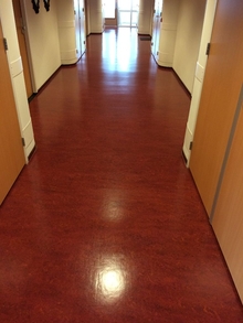 linoleum reinigen